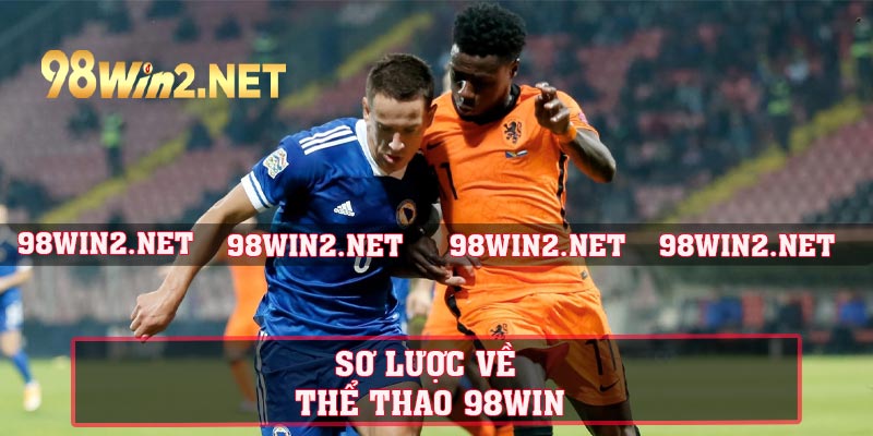 Đánh giá về sảnh cược tại thể thao 98WIN