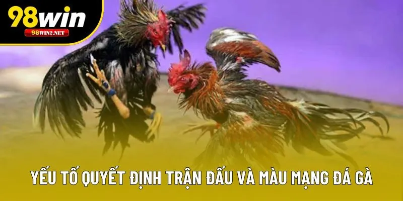 Yếu tố quyết định trận đấu và màu mạng đá gà